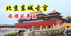 鸡巴操逼视频网址中国北京-东城古宫旅游风景区